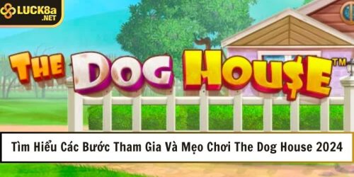 Mẹo chơi The Dog House